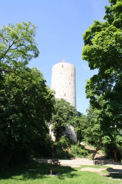 Grillplatz an der Burgruine Scharfenstein  Grillplatz mit Laubbäumen und Blick auf die Burgruine Scharfenstein