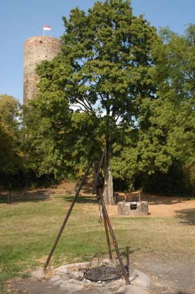 Grillplatz an der Burgruine Scharfenstein  Grillplatz mit Schwenkgrill auf einer Wiese vor  Laubbäumen mit Blick auf die Burgruine Scharfenstein mit rot weißer Fahne auf dem Turm vor blauem Himmel.