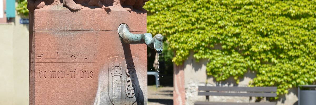 Brunnen auf dem Kiedricher Marktplatz mit Kiedricher Wappen und Trauben aus Stein