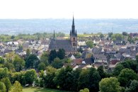 Blick auf Kiedrich Blick auf Kiedrich mit Bäumen, Häusern und der Kirche St. Valentinus und Dionysius - Basilica minor.