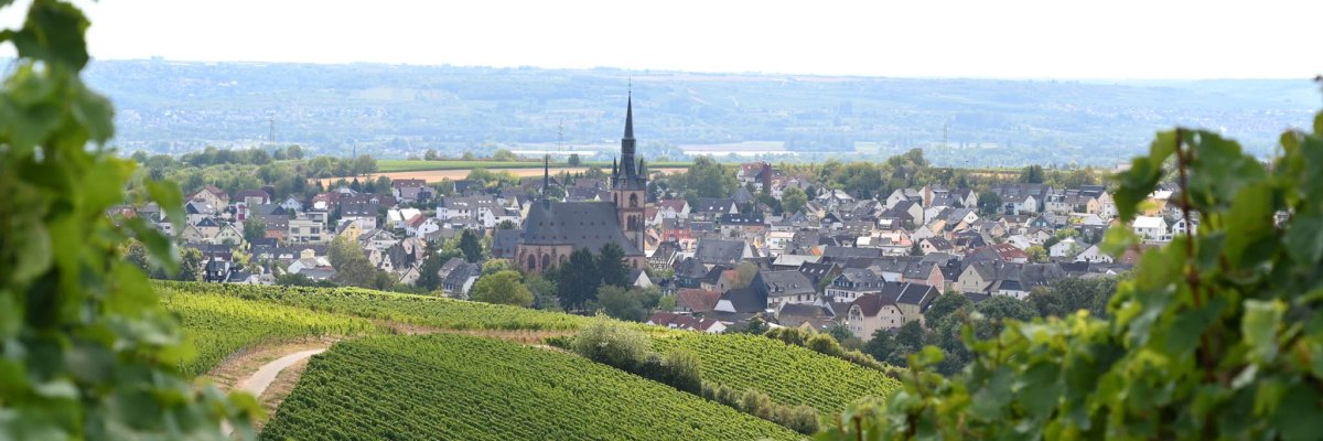 Blick auf Kiedrich mit Weinbergen, Häusern, Bäumen und der Kirche St. Valentinus und Dionysius