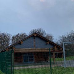 Blick auf das Holzblockhaus mit einer Terrassentür und Schieferplatten am Giebel. Im Vordergrund ist Wiese, rechts ein Basketballkorb aus Metall, eine asphaltierte Terrasse und im Hintergrund Bäume ohne Laub.