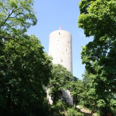 Wiese vom Grillplatz umrandet von Laubbäumen vor der Burgruine Scharfenstein mit rot weisser Fahne auf dem Turm vor blauem Himmel