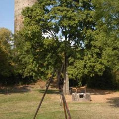 Grillplatz mit Schwenkgrill auf einer Wiese vor  Laubbäumen mit Blick auf die Burgruine Scharfenstein mit rot weißer Fahne auf dem Turm vor blauem Himmel. 