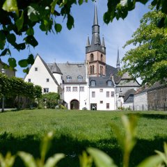 Josef-Staab-Platz Kiedrich mit Wiese und Bäumen mit Blick auf das Kiedricher Rathaus und die Kirche St. Valentinus und Dionysius