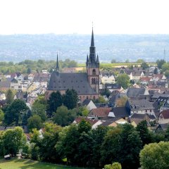 Blick auf Kiedrich mit Bäumen, Häusern und der Kirche St. Valentinus und Dionysius - Basilica minor.