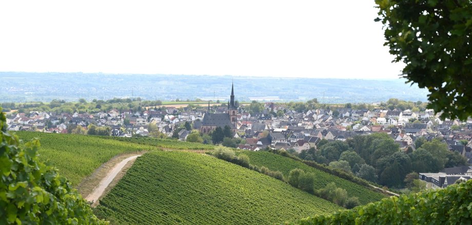 Blick auf Kiedrich Blick auf Kiedrich mit Weinbergen, Häusern, Bäumen und der Kirche St. Valentinus und Dionysius