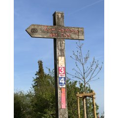 An einem viereckigen Holzpfosten ist ein rechteckiges Schild in blau mit blauem Pfeil und einer weißen 4 und darüber ein rechteckiges Schild in rot mit rotem Pfeil und einer weißen 3 und darüber ein rechteckiges Schild in gelb mit gelbem Pfeil und einer weißen 2. Oben ist aus Holz ein Pfeil, der nach links zeigt und mit zwei braunen Kriesen, die sich überschneiden und in roten Buchstaben steht "Zum Weinberg der Ehe".