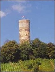 Burgruine Scharfenstein  Burgruine Scharfenstein mit rot, weißer Fahne vor blauem Himmel mit weißen Wolken und hinter grünen Bäumen und grünen Weinbergen.