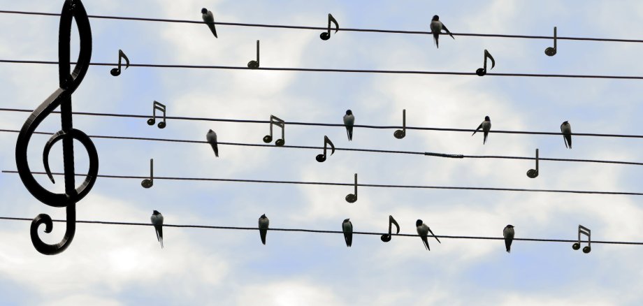 Sechs schwarze Seile sind vor einem hellblauem Himmel mit weißen Wolken gespannt. Links ist ein großer Notenschlüssel und auf den Seilen sind schwarze Noten und sitzen dunkle Schwalben.