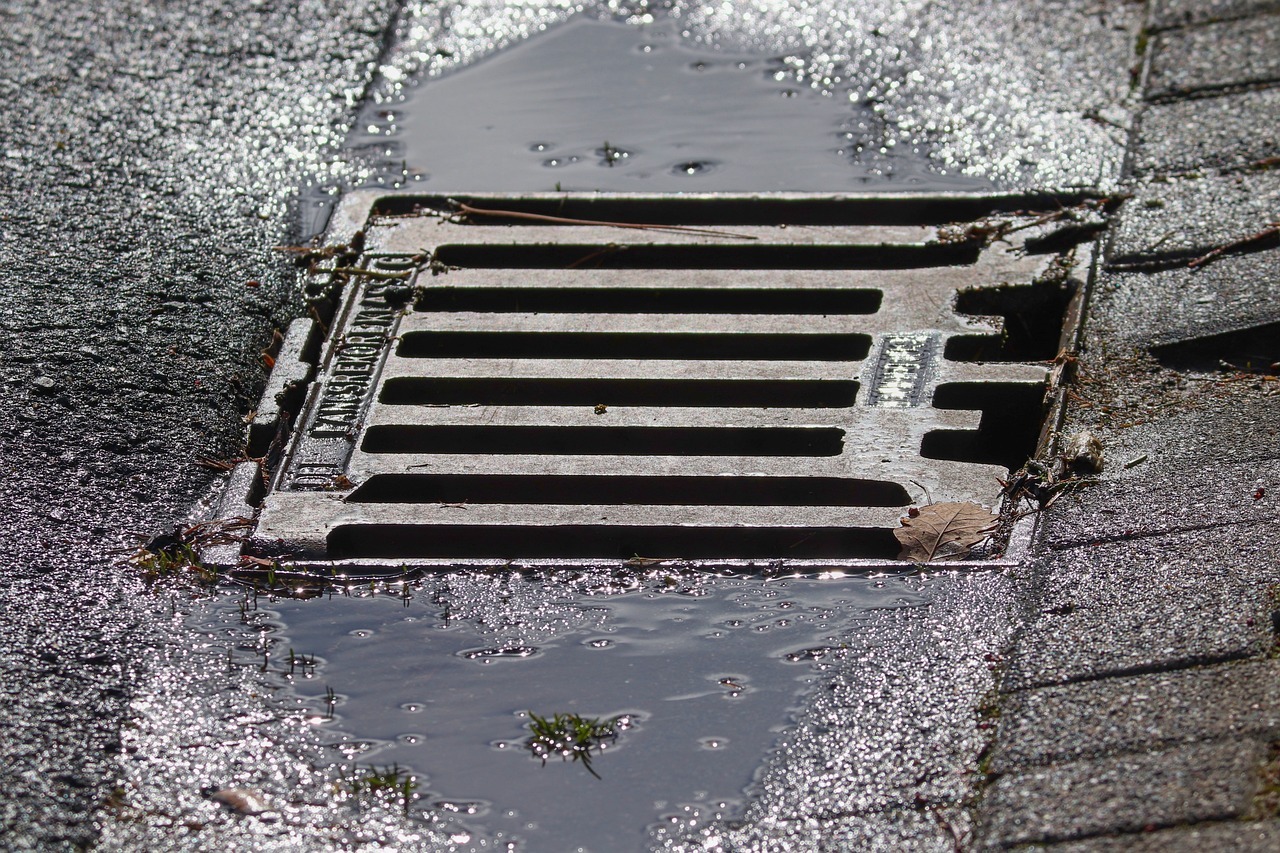 Ein Sinkkasten am Straßenrand mit Regenpfützen und Blättern.