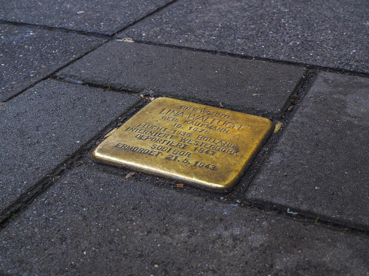Ein goldener Stolperstein ist umrandet von grauen Pflastersteinen. Auf dem goldenem Stolperstein sind die Daten einer Ermordeten genannt.