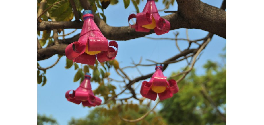 An einem Baumstamm mit grünen Blättern hängen vier Plastikflaschen, die aufgeschnitten und pink bemalt wurden. Die Seitenwände sind hochgerollt und in der Flasche ist der Boden gelb angemalt. Die Flaschen sehen nun aus wie Blüten. 