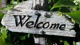 Welcome Auf einem Holzschild steht eingeritzt Welcome. Das Rechteckige Schild ist an einem Holzpfahl befestigt. Das Schild ist umgeben von Blättern.