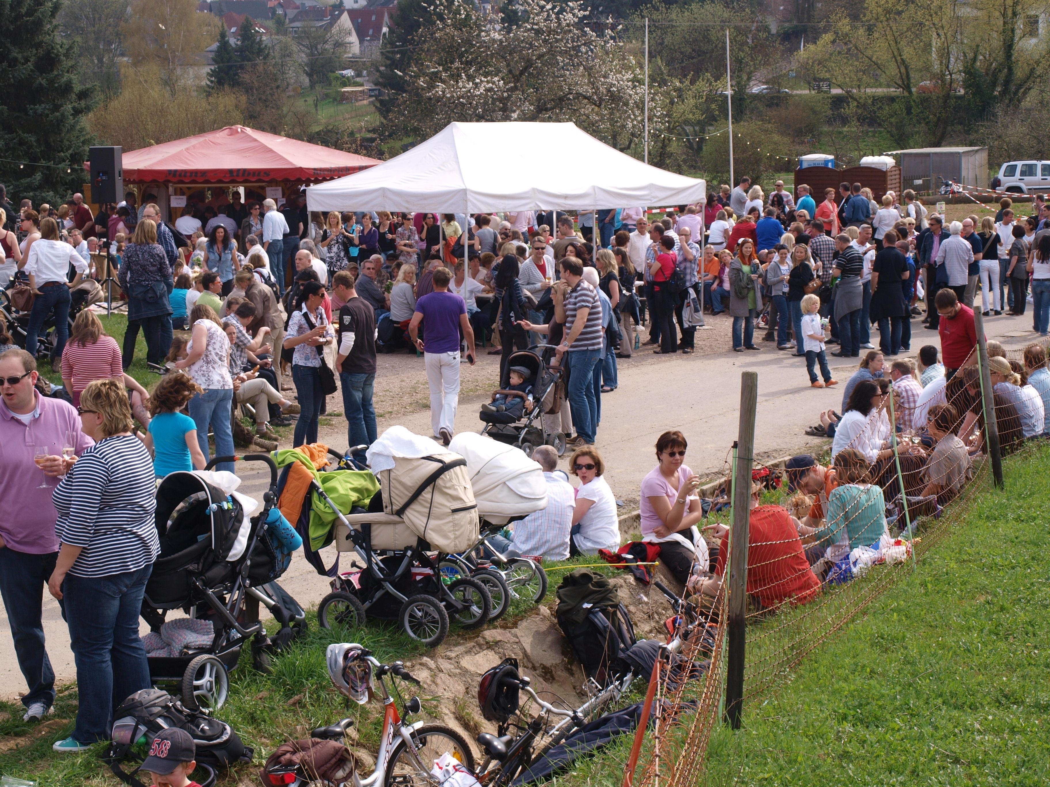 Viele Personen, in T-Shirts, Sonnenbrillen, Kinderwagen, die verteilt um den Weinstand und einem weißem Pavillon stehen und auf dem Rasen sitzen. 