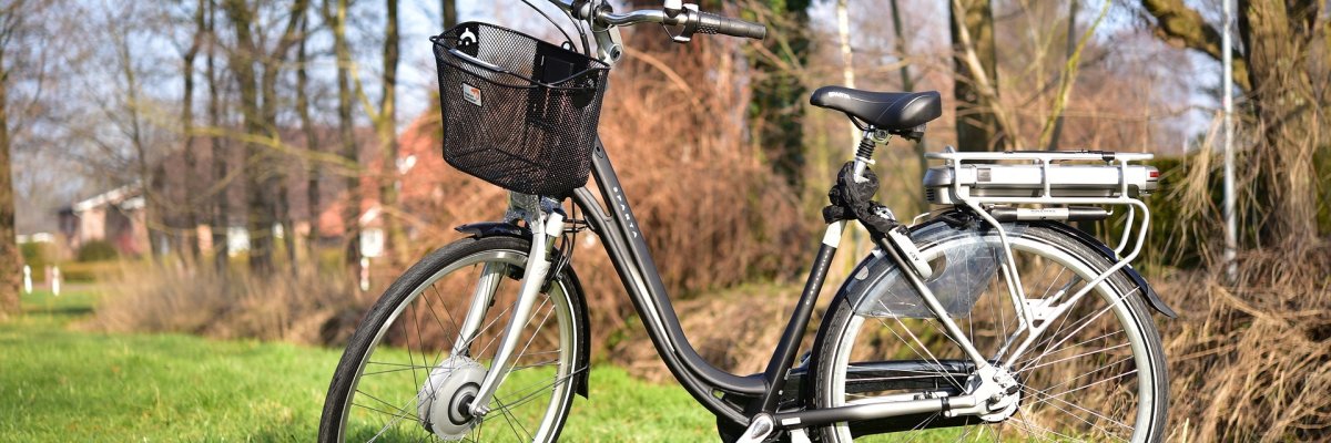 Auf einer grünen Wiese steht einschwarzes  e-Fahrrad, mit schwarzem Sattel, scharzem Metallkorb am Lenker, und einem weißem Akku unter dem Weißen Gepäckträger. Rechts davon sind Bäume ohne Laub.
