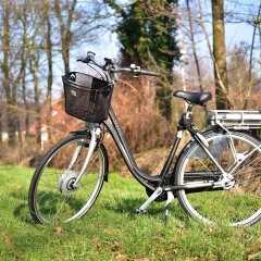Auf einer grünen Wiese steht einschwarzes  e-Fahrrad, mit schwarzem Sattel, scharzem Metallkorb am Lenker, und einem weißem Akku unter dem Weißen Gepäckträger. Rechts davon sind Bäume ohne Laub.