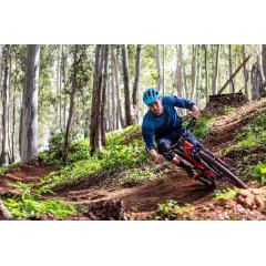In einem Wald fährt ein Mann auf seinem rotem Mountainbike auf einem schmalem hügeligen Waldweg. Er trägt ein blaues Shirt und eine blaue Hose und einen blauen Fahrradhelm.