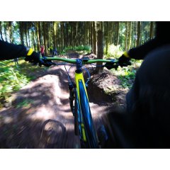 Auf einem schmalen, unebenem Waldweg, fahren mehrere Mountainbikes. Im Vordergrund sieht man das Vorderrad, das grüne Lenkrad und die gelbe Achse. Der Fahrer trägt schwarze Handschuhe und eine schwarze Jacke mit einem gelben Bund. Um den Weg herum sind viele Bäume.