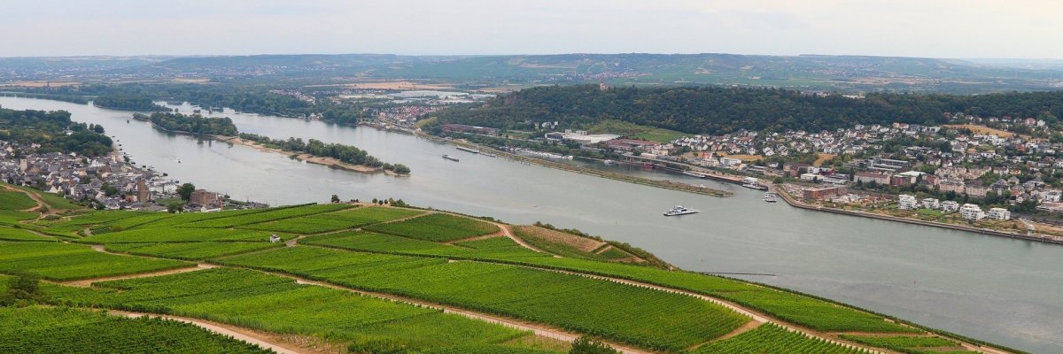 Blick auf die Weinberge und Wege, den Ortschaften, Wälder und dem Rhein, auf dem die Fähre und Schiffe fahren. Der Himmel ist weiß mit Wolken.