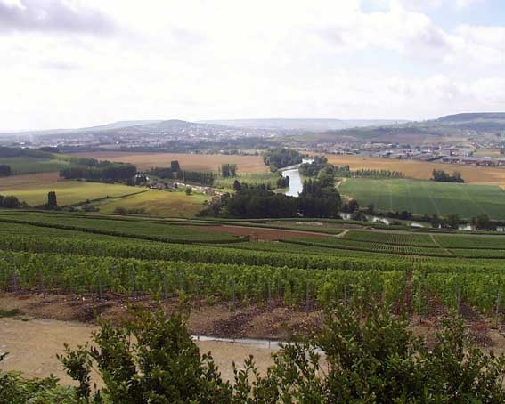 Premium Weinlagen Hautvillers