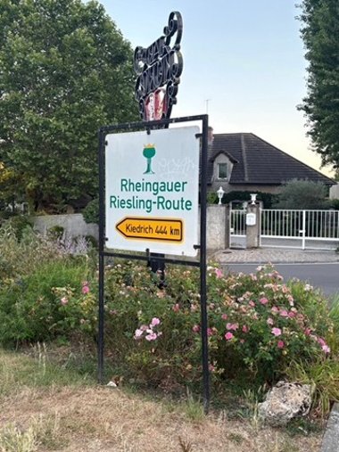 Ein weißes Schild, auf dem in grün Rheingauer Riesling-Route mit einem Weinglas steht und in gelb ein Pfeil mit der schwarzen Schrift "Kiedrich 444 km" abgebildet ist.