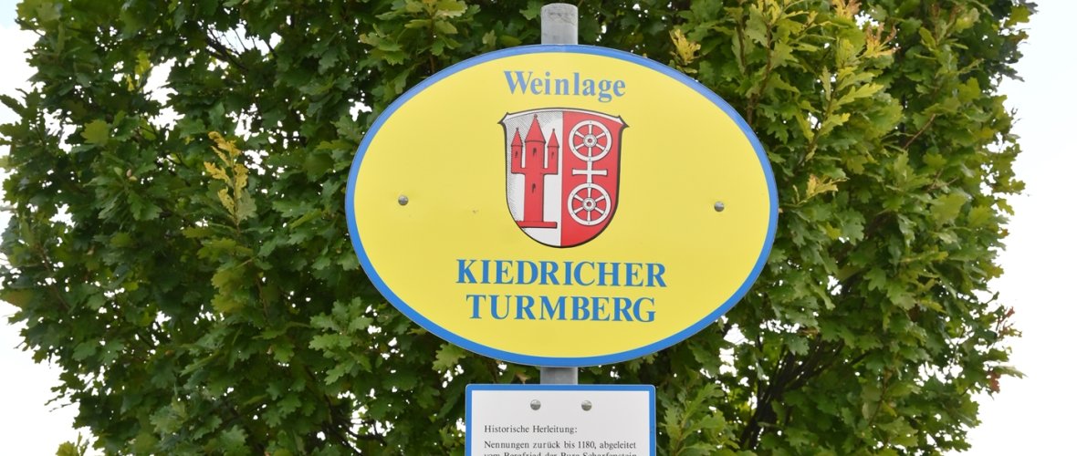 Hinweistext Weinlage Kiedricher Turmberg mit Baum und Weinbergen