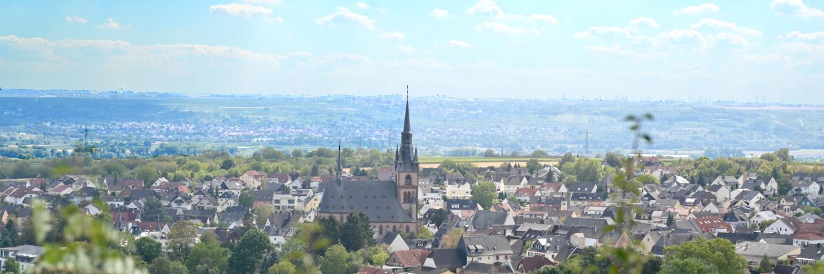 Blick auf Kiedrich mit Bäumen, Häusern und der Kirche St. Valentinus und Dionysius - Basilica minor.