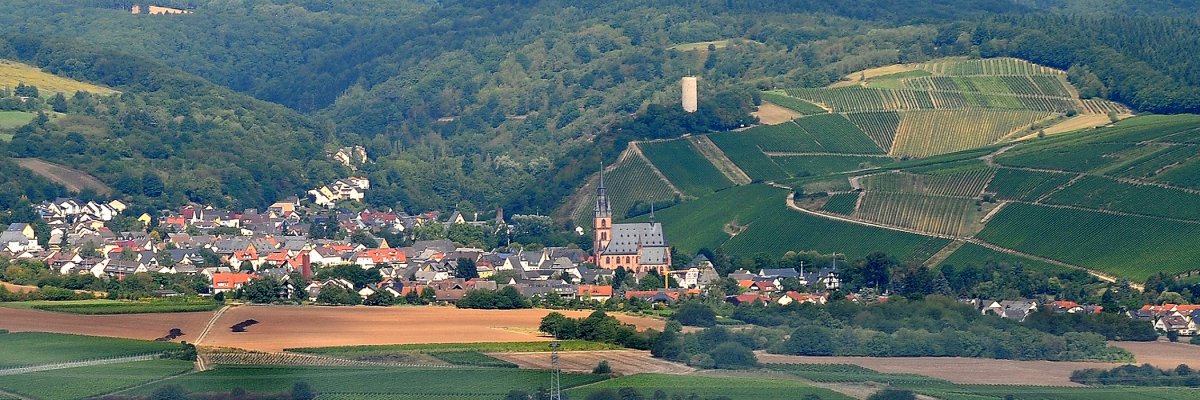 Blick auf Kiedrich mit den Weinbergen, Wiesen, Wäldern, Häusern, der Burgruinse Scharfenstein und der Kirche St. Valentinus und Dionysius.