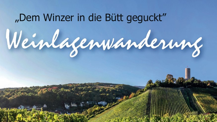 Weinberge, im Hintergrund eine Burg