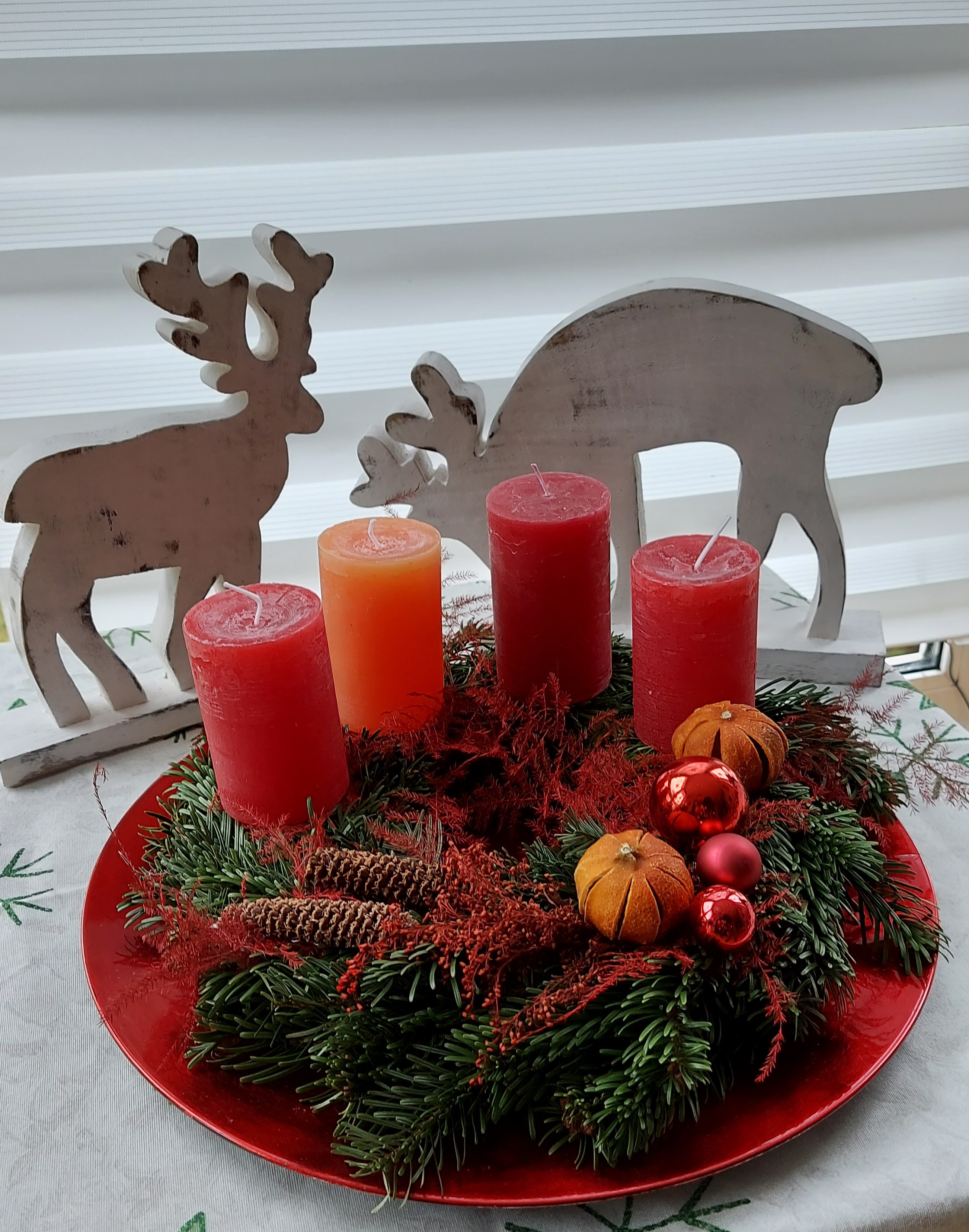 Auf einem roten Teller stehen vier dicke neue Kerzen uín unterschiedlichen Rottönen auf Tannenzweigen, die mit Tannenzapfen, Mandarinen und roten Weihnachtskugeln dekoriert sind. Im Hintergrund stehen zwei weiße Elche vor einem weißen Rollo. 