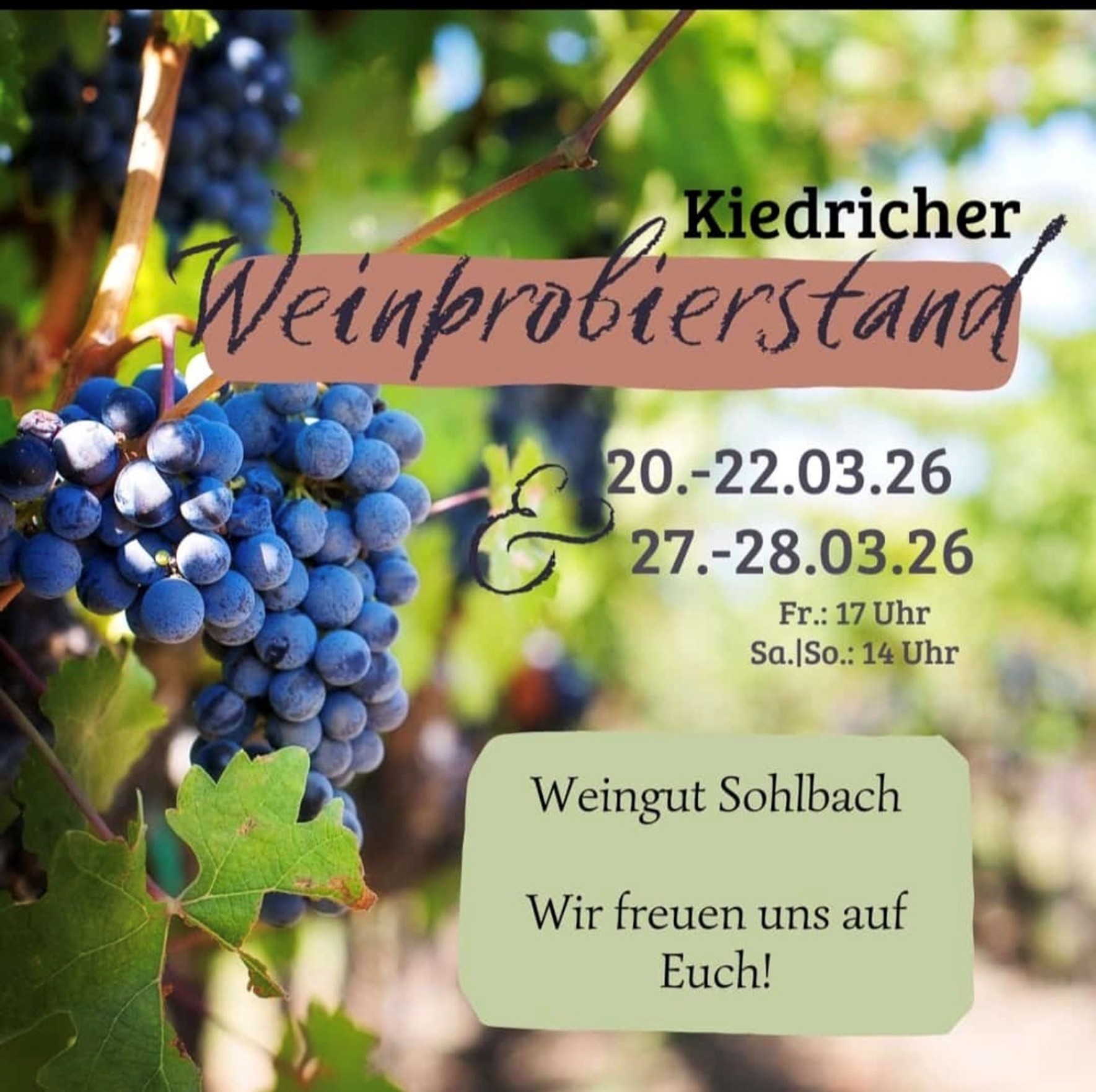 Links im Bild sind grüne Blätter einer Weinrebe und blaue Trauben. Der Hintergrund ist verschwommen. 