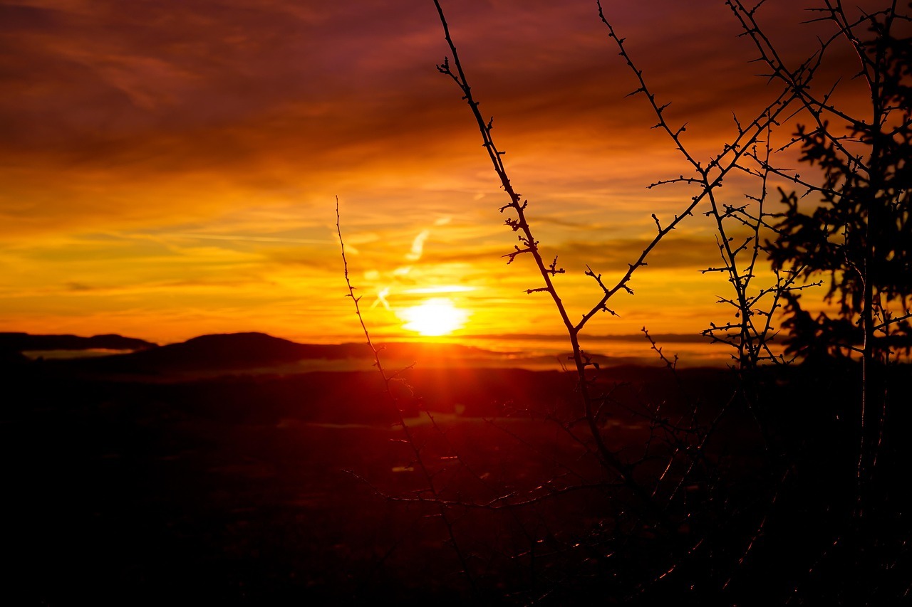 Man sieht einen Sonnenuntergang und entsprechend einen orangenen Himmel. Rechts sind dunkle Zweige und im Hintergrund Hügel und am Himmel Wolken.