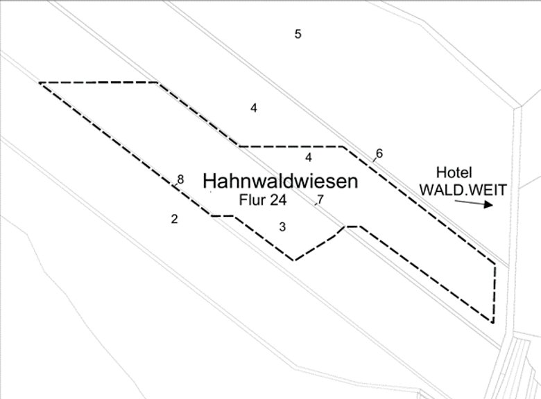Ausschnitt Flurkarte