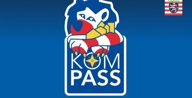 Löwe mit Hessen Farben in rot, blau, weiss