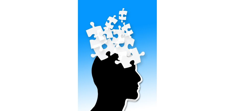 Schwarzer Kopf mit weißen Puzzleteilen als Gehirn.