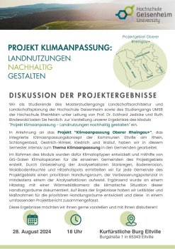 Flyer Einladung Diskussion der Projektergebnisse