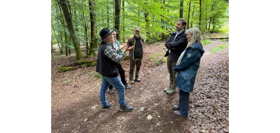 Auf einem Waldweg, auf dem am Rande Laubbäume sind, stehen vier Männer und eine Frau im Kreis und unterhalten sich miteinander. Der Waldboden und der Weg ist mit braunen, alten Blättern bedeckt. 