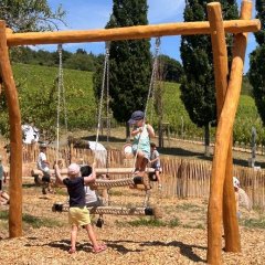 Auf einer Mehrgenerationschaukel sitzen und stehen mehrere Kinder und dahinter Wippen zwei Kinder. Daneben ist eine sehr lange Holzbank. Der Boden um die Schaukel und der Wippe besteht aus Holzspäne. Im Hintergrund sind Weinberge und Bäume.