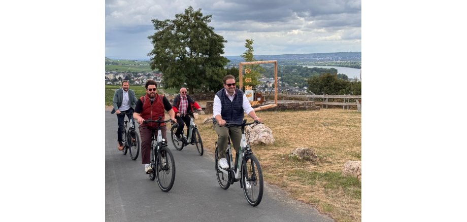 Vier Herren sitzen auf Fahrrädern und fahren eine asphaltierte Straße hoch. Am Straßenrand ist eine Wiese, die gelblich ist und große Steine liegen mit Abstand in einer Reihe. Im Hintergrund ein Fotorahmen aus Holz und ein großer Laubbaum und der Blick auf das Rheintal.