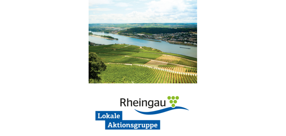 Blick auf eine Landschaft mit Weinberge, einen Fluß und auf der anderen Rheinseite sind Häuser, Wälder, Wiesen erkennbar. Im Rhein ist eine mit Bäumen bewachsene Aue und im Wasser ein Schiff zu erkennen. Der Himmel im Hintergrund ist blau mit weißen Wolken. Unten ist das Logo Rheingau und Lokale Arbeitsgruppe.