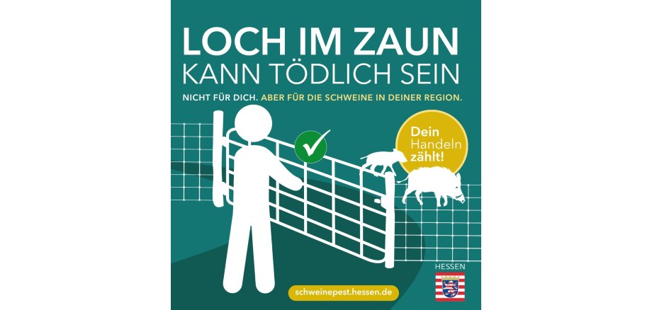 Plakat zur Afrikanischen Schweinepest