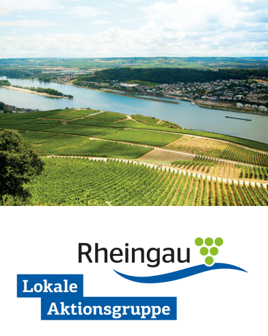 Blick auf eine Landschaft mit Weinberge, einen Fluß und auf der anderen Rheinseite sind Häuser, Wälder, Wiesen erkennbar. Im Rhein ist eine mit Bäumen bewachsene Aue und im Wasser ein Schiff zu erkennen. Der Himmel im Hintergrund ist blau mit weißen Wolken. Unten ist das Logo Rheingau und Lokale Arbeitsgruppe.