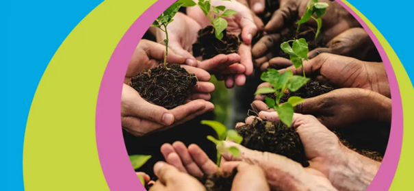 Mehrere Hände halten Erde mit einem kleinen Pflänzchen in der Hand . Zusammen bilden Sie einen Kreis. Links und rechts um das Bild sind ein pinker Kreis,danach ein grüner Kreis und ein blauer Kreis.