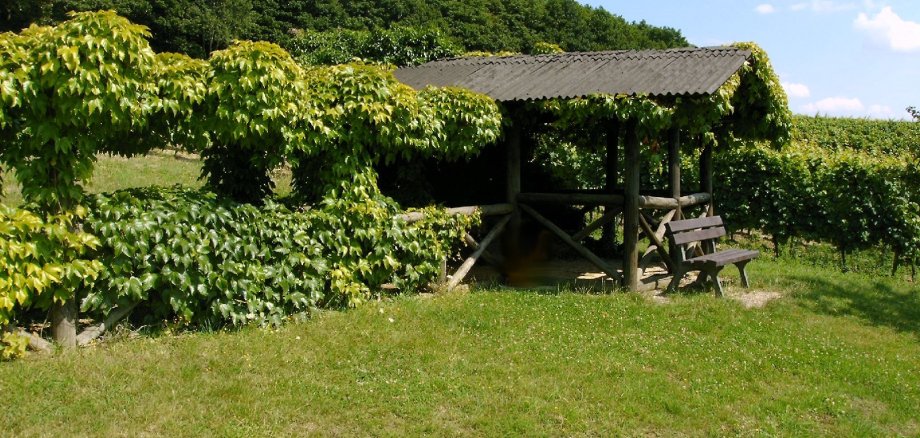 Man sieht eine Holzhütte mit einem Gang links von der Hütte. Beides ist mit Laub umrankt. Im Hintergrund sind Weinberge und Bäume und im Vordergrund Wiese zu erkennen. Der Himmel ist blau mit weißen Wolken.