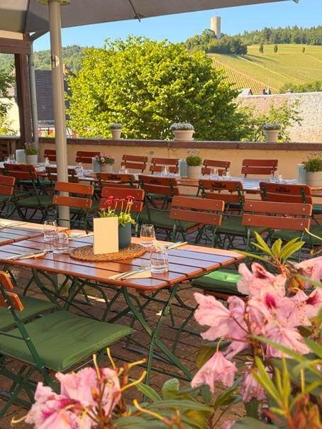 Blick auf eine überdachte Terrasse, auf der zwei lange Tafeln mit Holztischen und Holzstühlen mit grünen Polstern sind. Auf den Tischen sind Besteck und Servietten eingedeckt und auf runden Sets stehen Blumentöpfe mit blühenden Blumen. Auf der Mauer im Hintergrund sind ebenso runde Blumentöpfe mit Topfpflanzen mit weißen Blüten. Im Hintergrund sind Weinberge, Bäume, die Burgruine Scharfenstein und ein blauer Himmel zu erkennen.
