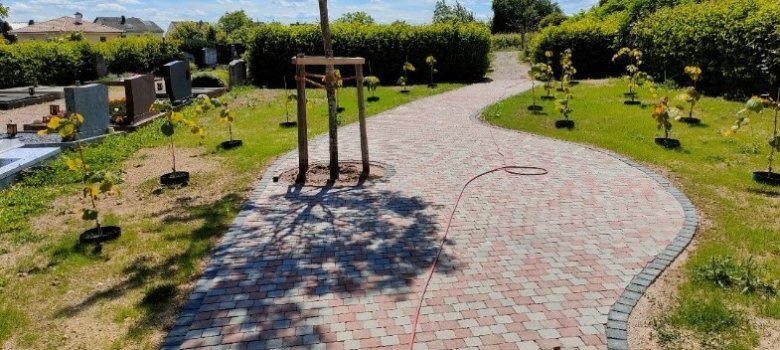 Ein rot-grau geplasterter Weg schlängelt sich in der Mitte. Linkerhand auf dem Weg befindet sich ein Baum und  auf den Rasenstücken links und rechts vom Weg sind die Weinbergsreben, mit einem Gieskranz am Boden. Auf der linken Seite befinden sich Gräber mit Grabsteinen und im Hintergrund Hecken, Bäume und ein blauer Himmel mit Wolken.