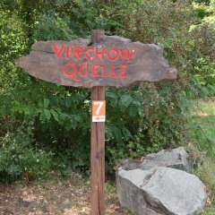 Virchow-Quelle