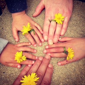 Auf einem sandfarbenem Boden sind zu einem Kreis gelegt, zwei Erwachsenen und drei Kinderhände. Jede Hand hat an einem Finger die Blüte eines Löwenzahns. Der Stengel ist um den Finger gewickelt.