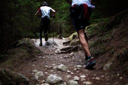 Musterbild Lauftreff Auf einem steinigem Waldweg joggen zwei Personen mit weißen T-Shirts und kurzen Hosen hintereinander. Die vordere Person nutzt Walkingstöcke.